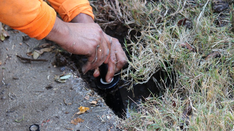 Man fixing sprinkler head