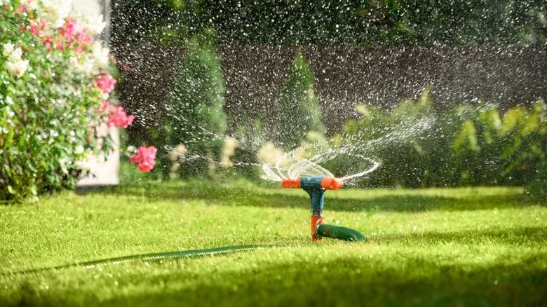 Sprinkler operating in garden