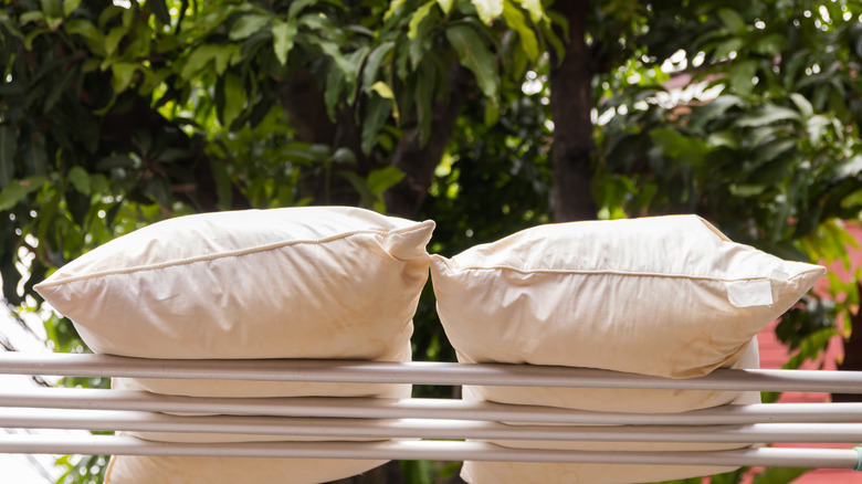 Pillows sitting outside in sun