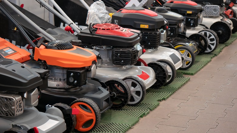 lawn mower at store