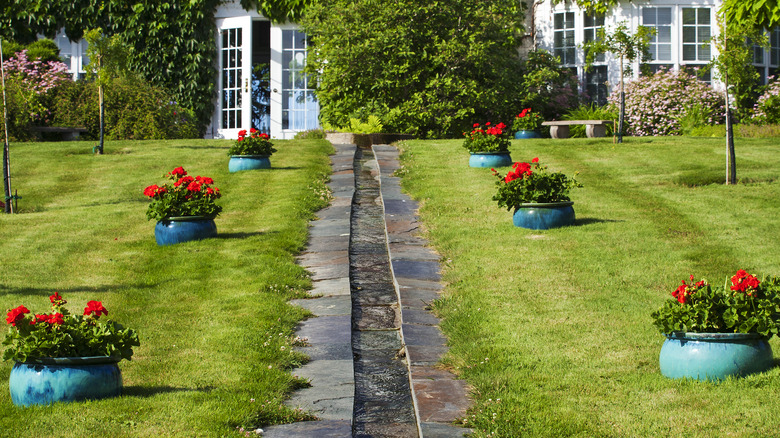 Slate rill in backyard