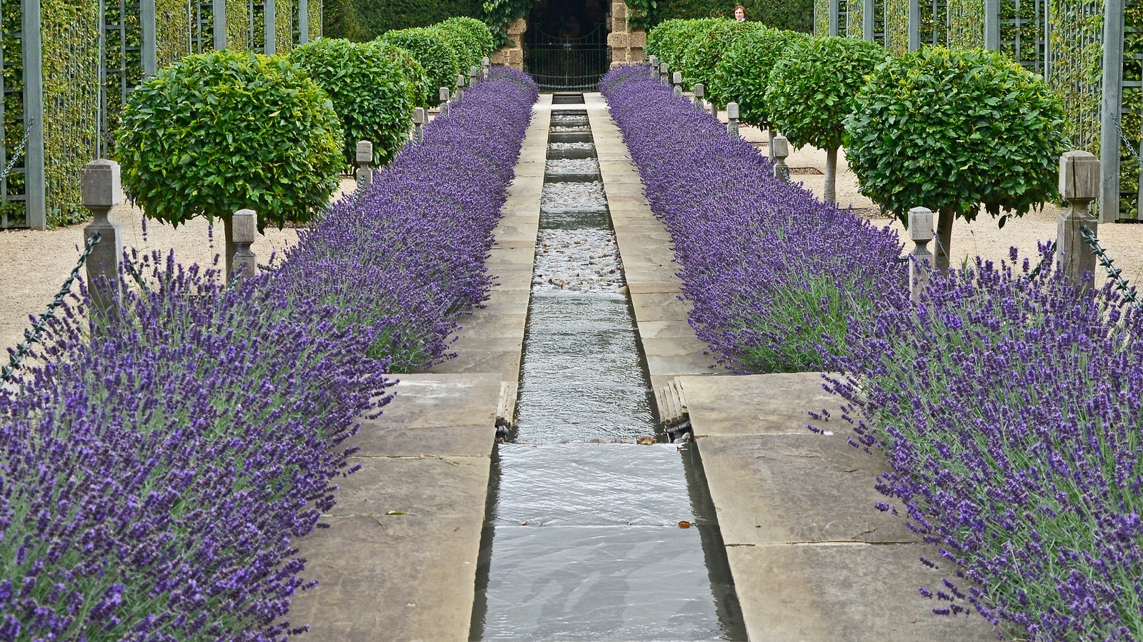 water-rills-are-the-calming-garden-feature-your-outdoor-space-is-missing