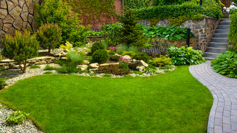 Backyard garden with plants and grey brick path