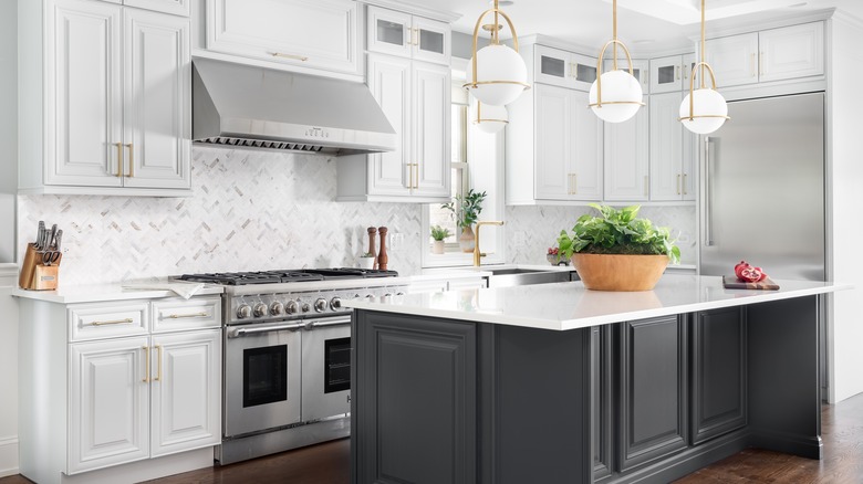 potted plants in kitchen 