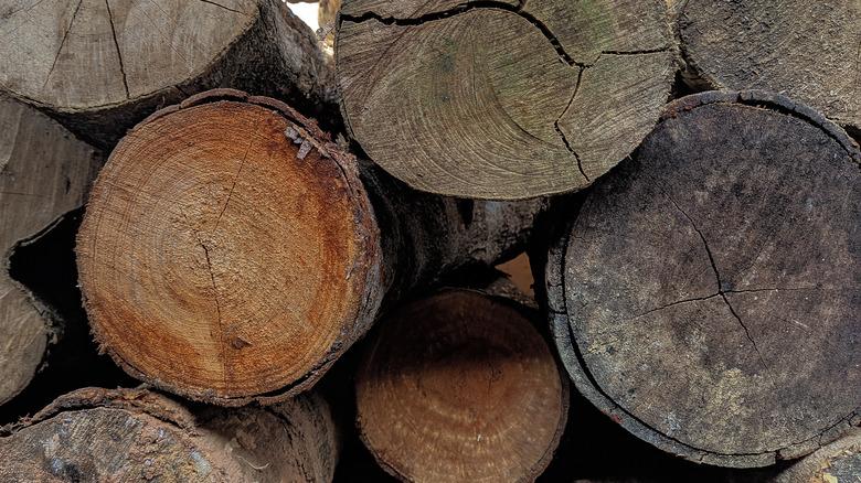 pile of wooden logs