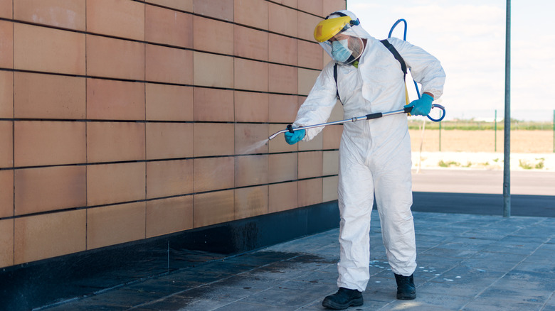 pest control agent spraying outdoors