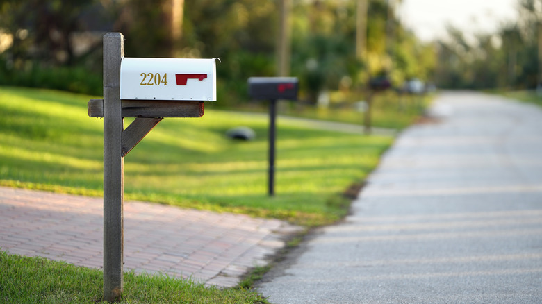 driveway and white mailbox during daytime