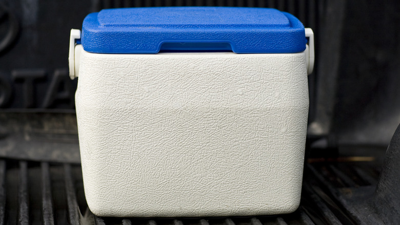 White cooler with blue lid