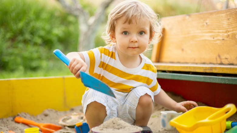 Toddler boy in sandbox 