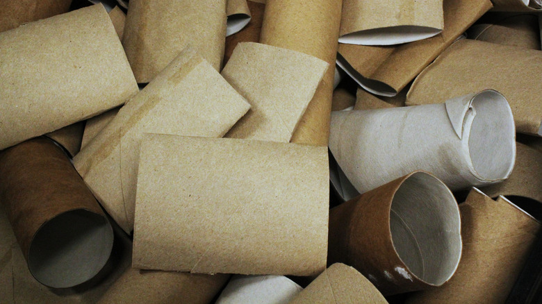 A big pile of whole and flattened toilet paper tubes made from assorted cardboard.