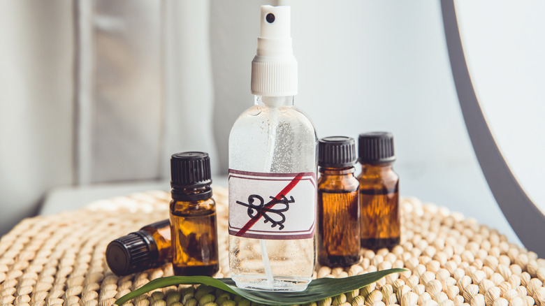 essential oil insect repllent