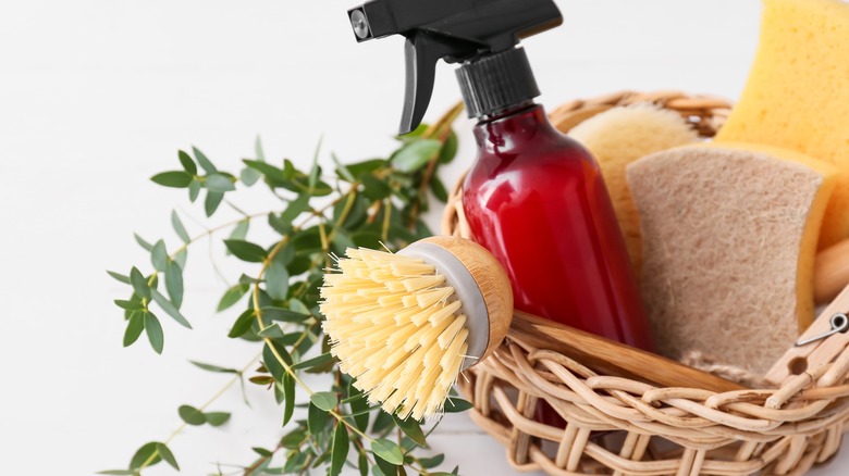 Spray bottle with eucalyptus leaves