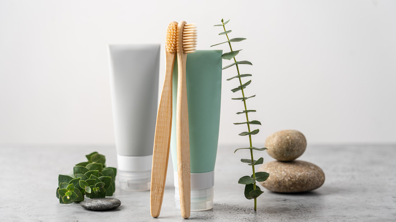 Toothbrush with eucalyptus leaves