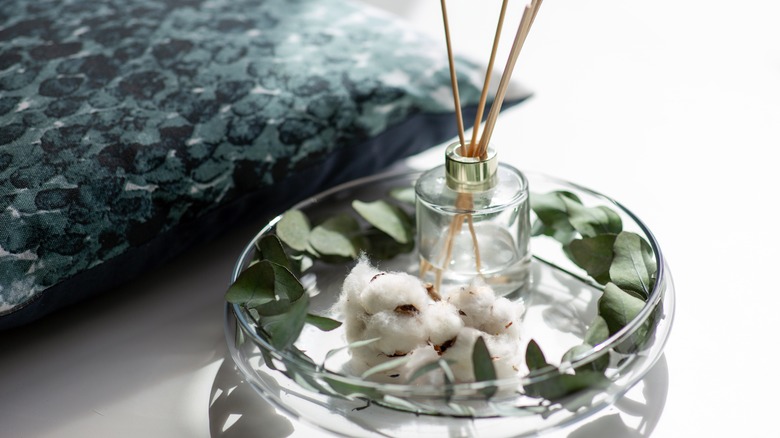 Eucalyptus oil diffuser