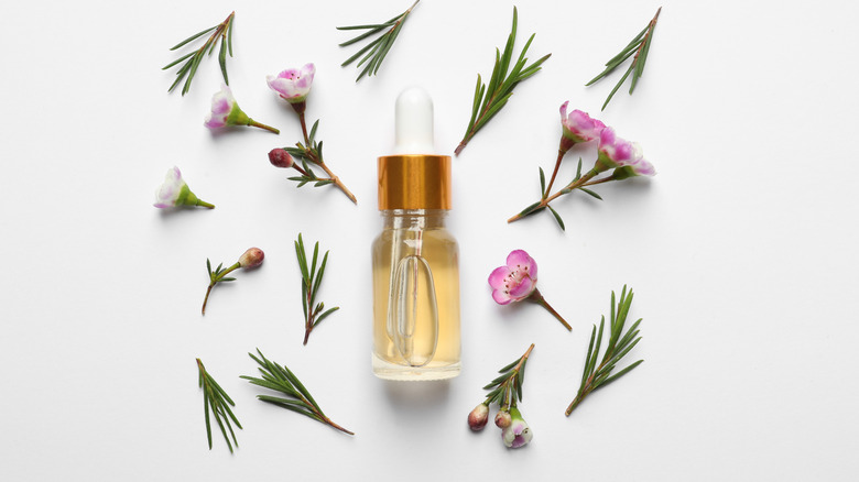 tea tree oil with flowers 