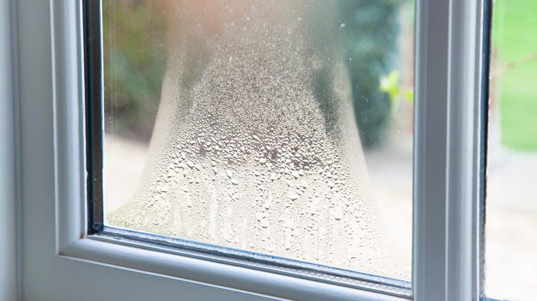 A window with condensation