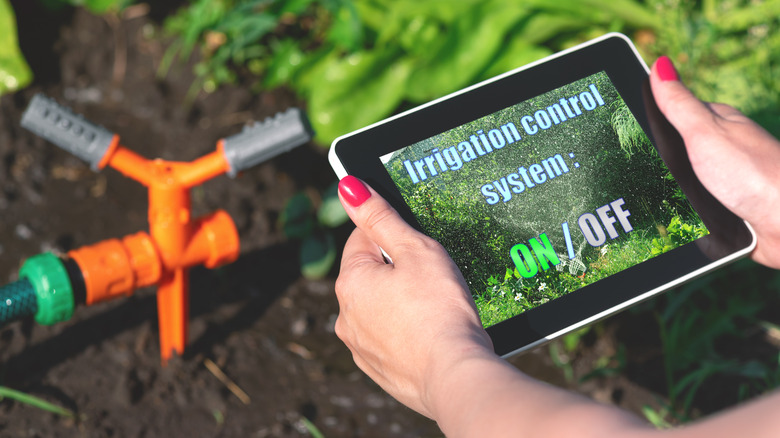 woman's hands holding tablet controlling irrigation system