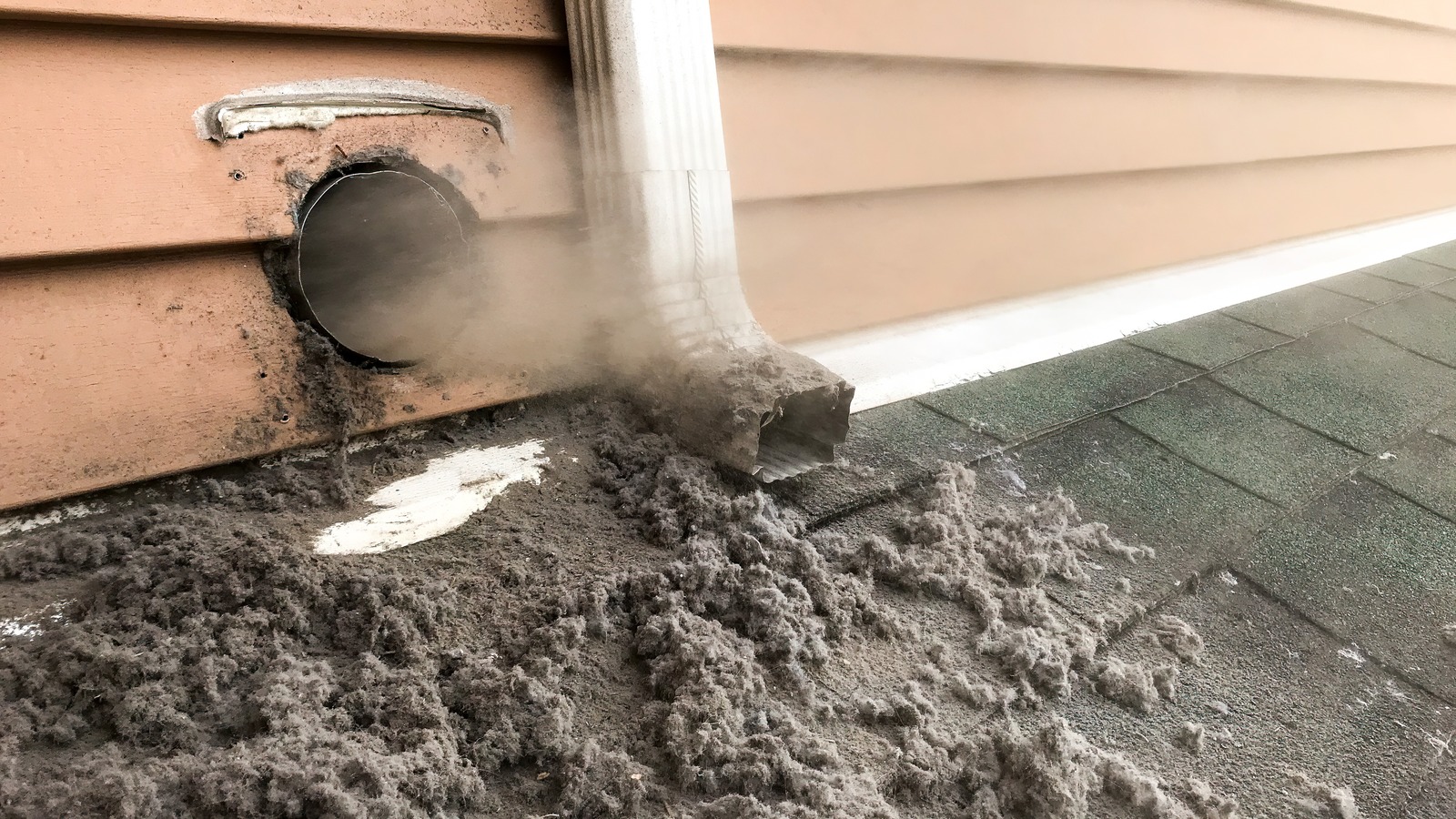 https://www.housedigest.com/img/gallery/we-can-safely-clean-out-our-dryer-vent-without-getting-on-the-roof-thanks-to-this-tiktok/l-intro-1699556156.jpg