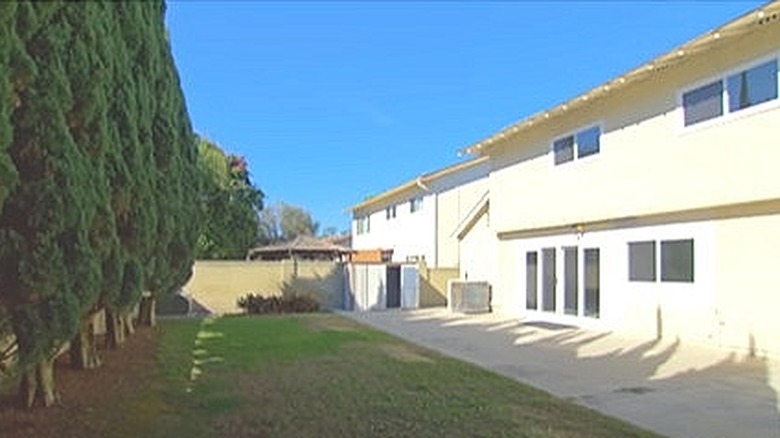 Empty yard with cypress trees