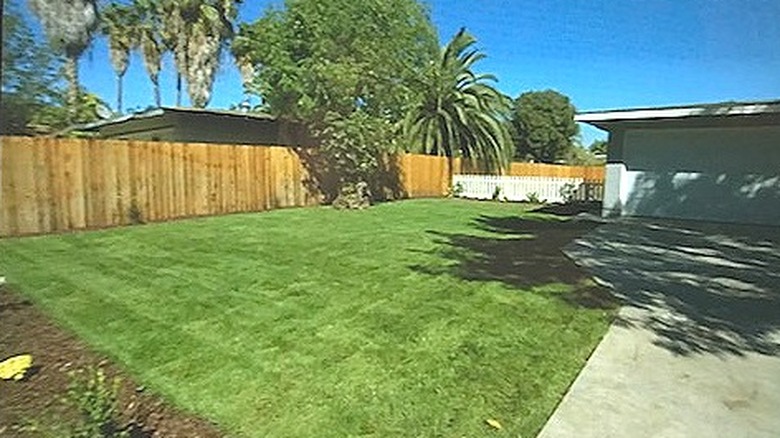 Vast fenced lawn