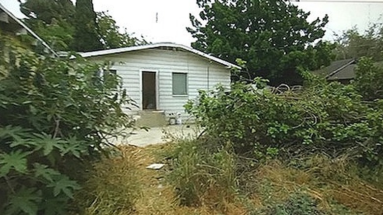 Small house with overgrown yard