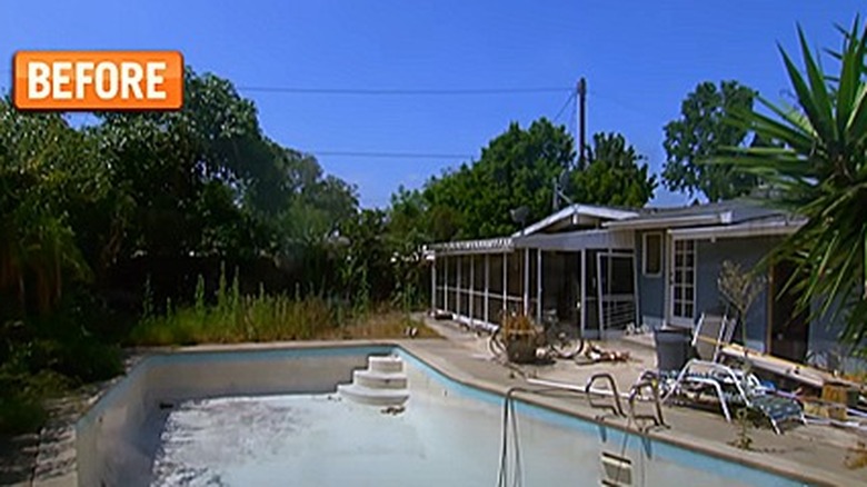 Overgrown yard with empty pool