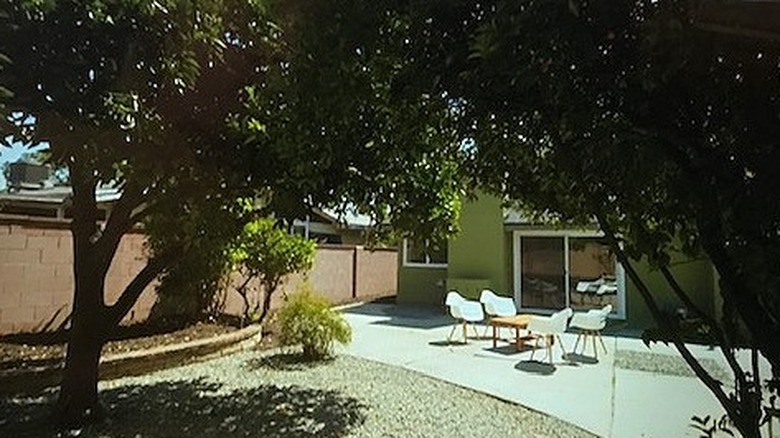 Orange trees surround back patio