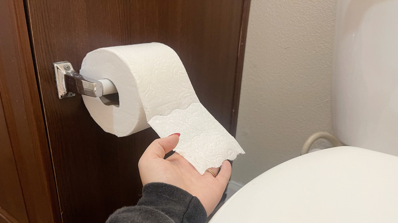 toilet paper roll on holder