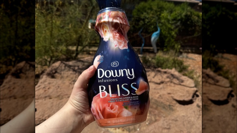 Holding Downy Infusions bottle