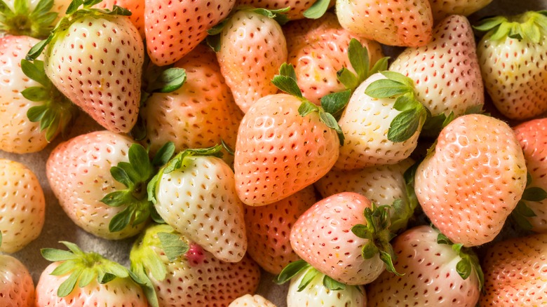 A pile of pineberries