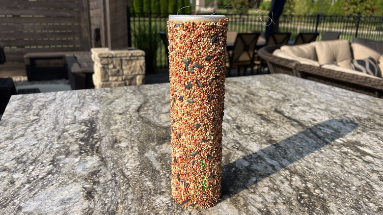 Pringles bird feeder on countertop