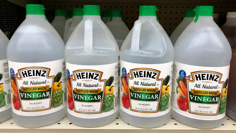 vinegar bottles on shelf