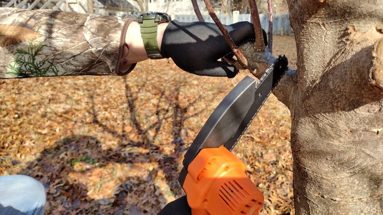 cutting limb with mini chainsaw