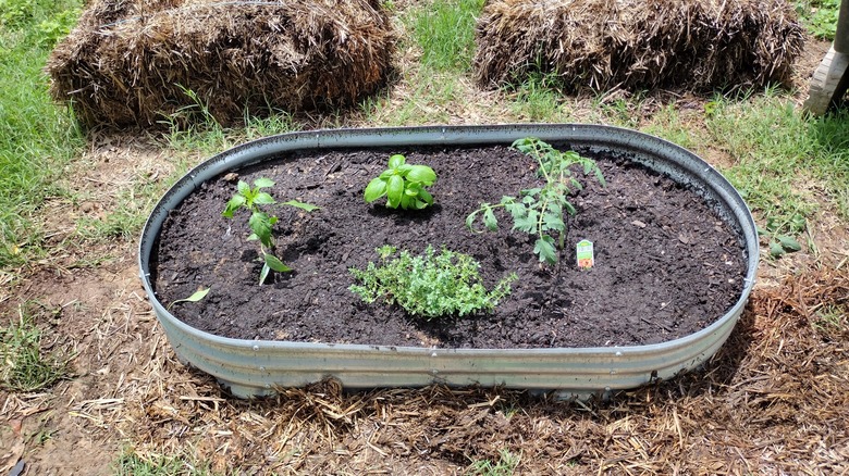 buried raised garden bed