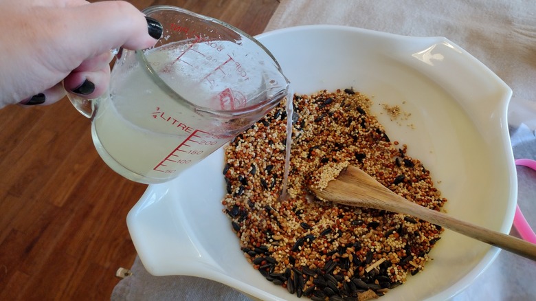 making birdseed cakes