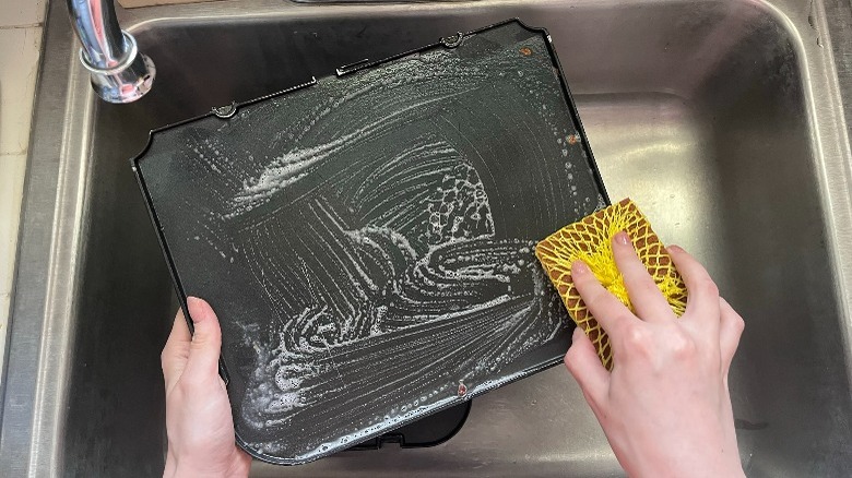 Scrubbing panini press plate