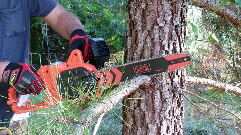 BECS600 cutting branch