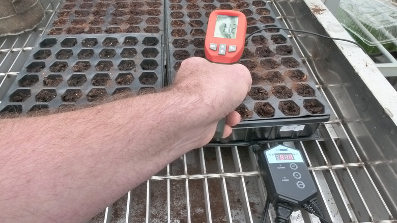 Testing soil's surface temperature