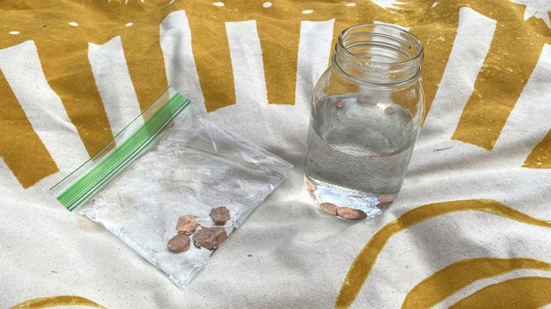 Jar and bag filled with water and pennies