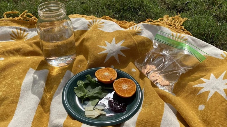 Picnic food and water in containers