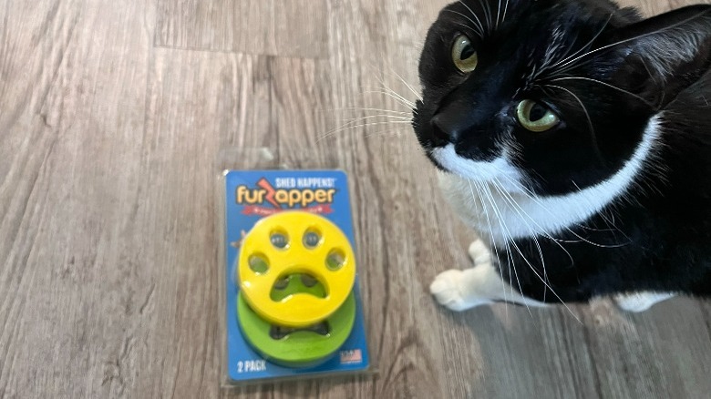 Cat with FurZapper 