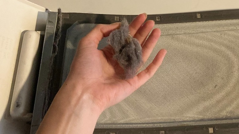 Ball of lint and hair