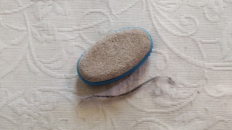 pumice stone with pet hair