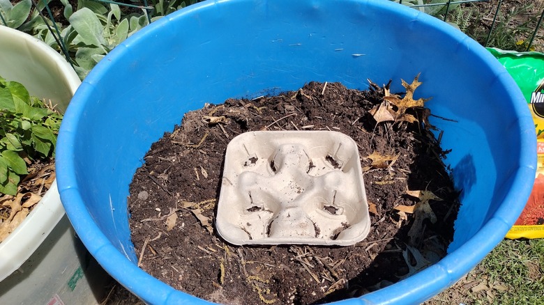 drink holder in a planter