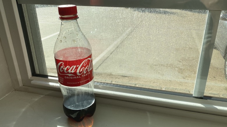 Coke bottle trap on windowsill