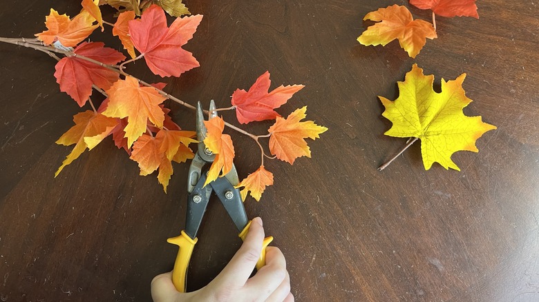 Hand using tin sips to cut foliage