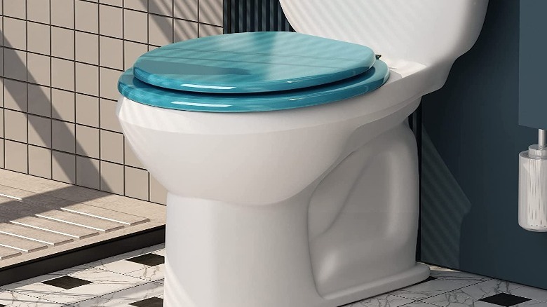 White toilet with aqua seat