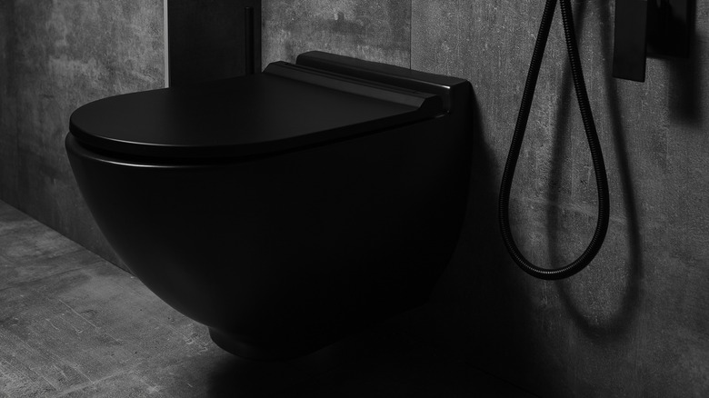 Black toilet 