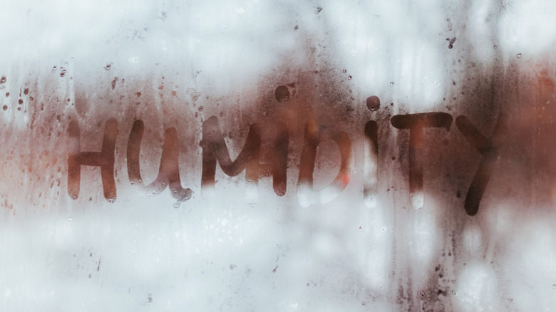 Humidity written in window condensation