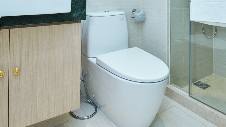 new dual flush toilet
